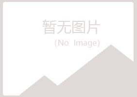 山西夏岚制造有限公司